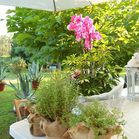 Bed & Tours Dimora Di Campagna Bed & Breakfast Castelnuovo Belbo Dış mekan fotoğraf
