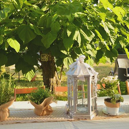 Bed & Tours Dimora Di Campagna Bed & Breakfast Castelnuovo Belbo Dış mekan fotoğraf