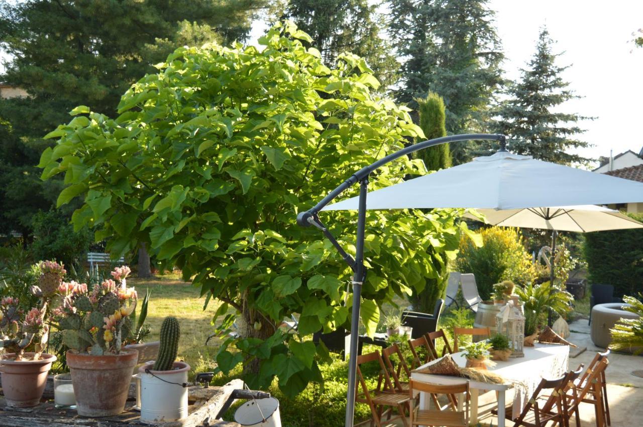 Bed & Tours Dimora Di Campagna Bed & Breakfast Castelnuovo Belbo Dış mekan fotoğraf