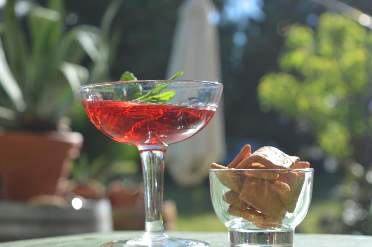 Bed & Tours Dimora Di Campagna Bed & Breakfast Castelnuovo Belbo Dış mekan fotoğraf