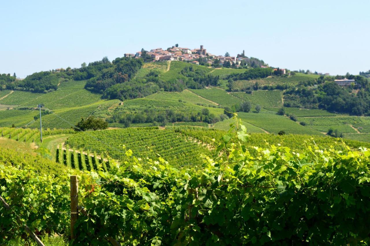 Bed & Tours Dimora Di Campagna Bed & Breakfast Castelnuovo Belbo Dış mekan fotoğraf