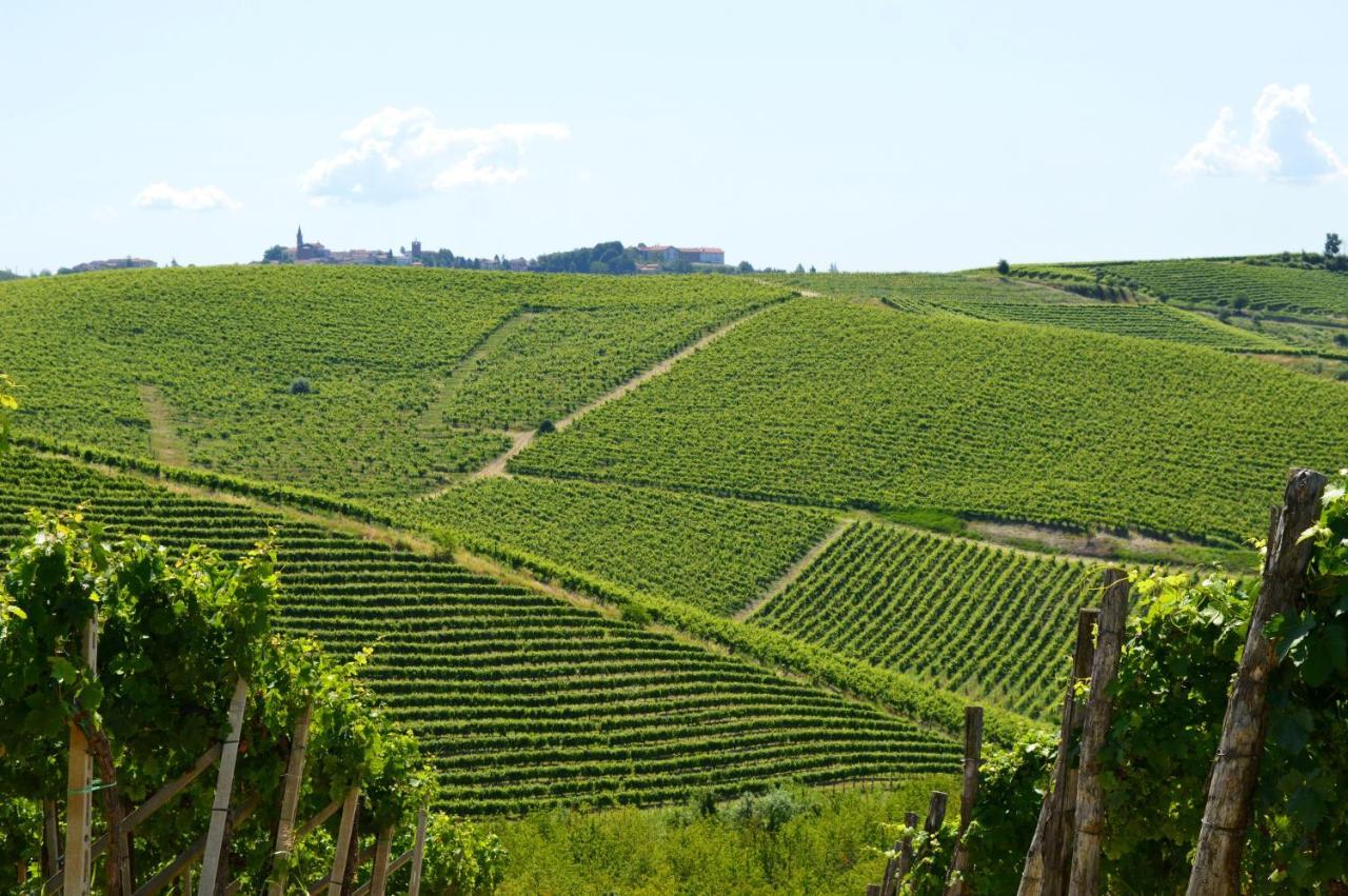 Bed & Tours Dimora Di Campagna Bed & Breakfast Castelnuovo Belbo Dış mekan fotoğraf
