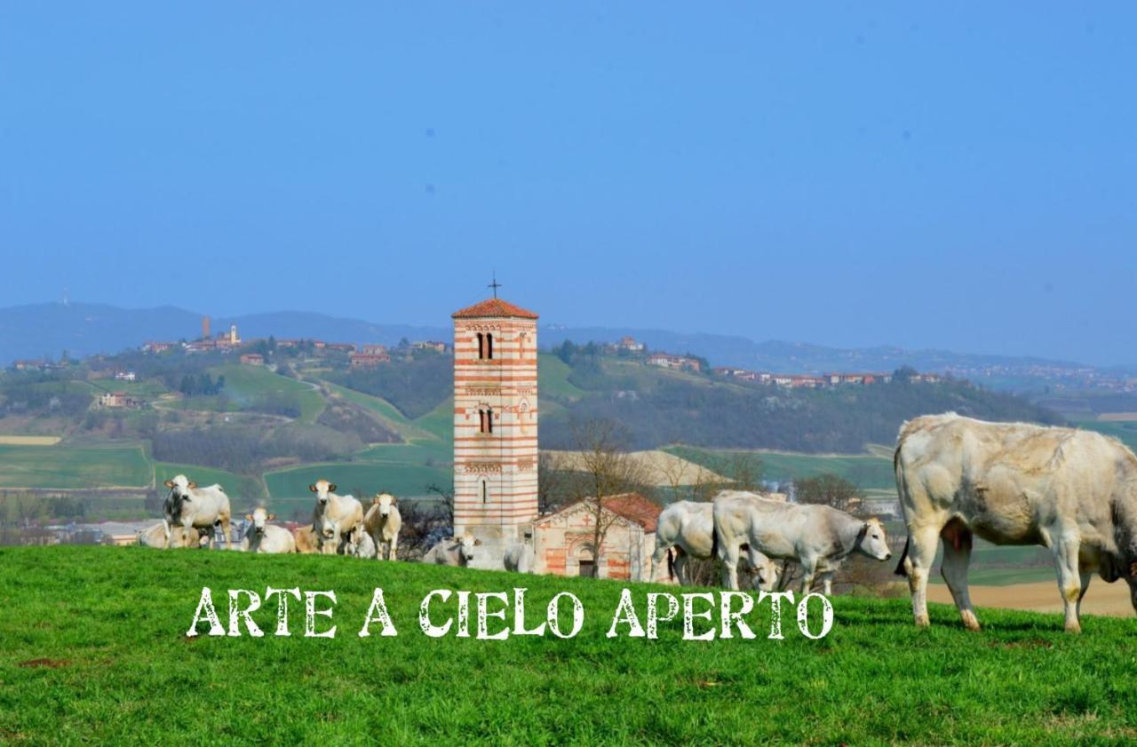Bed & Tours Dimora Di Campagna Bed & Breakfast Castelnuovo Belbo Dış mekan fotoğraf