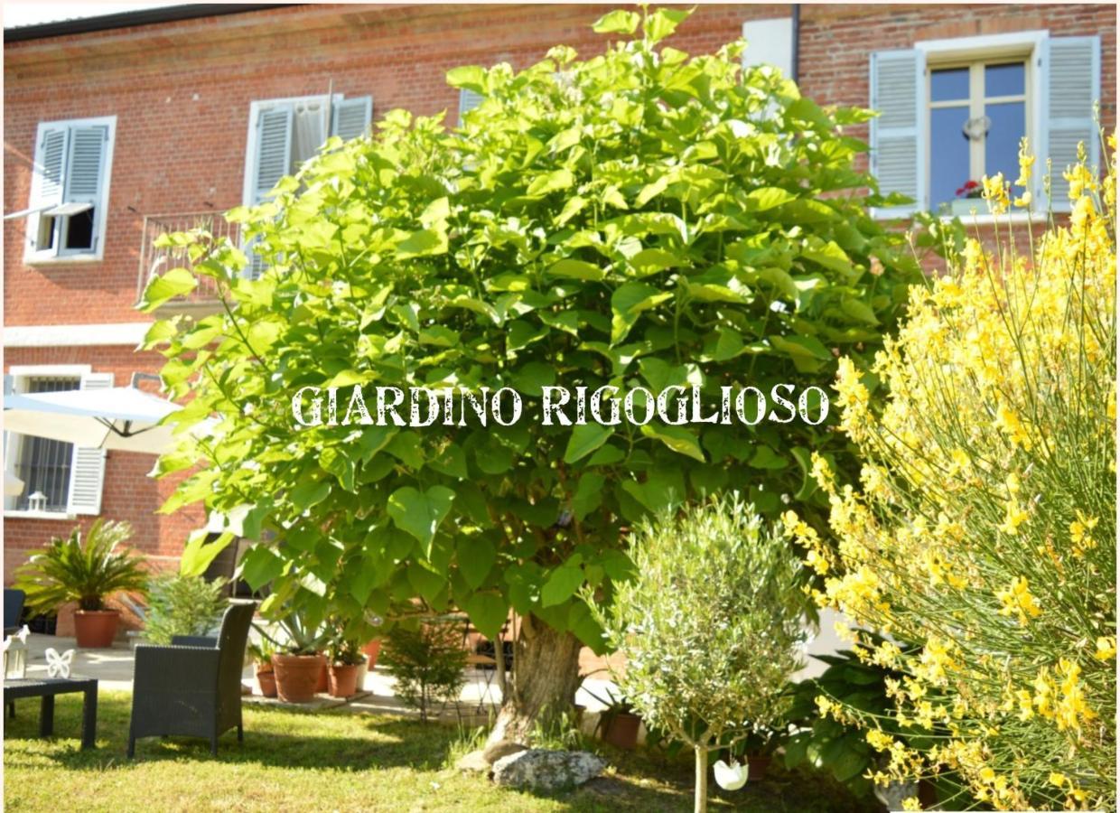 Bed & Tours Dimora Di Campagna Bed & Breakfast Castelnuovo Belbo Dış mekan fotoğraf