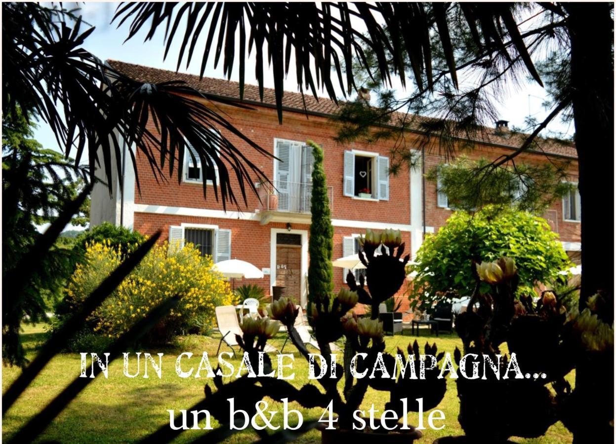 Bed & Tours Dimora Di Campagna Bed & Breakfast Castelnuovo Belbo Dış mekan fotoğraf