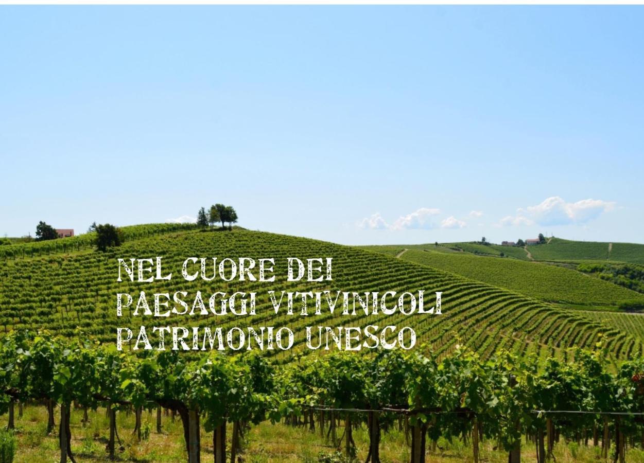 Bed & Tours Dimora Di Campagna Bed & Breakfast Castelnuovo Belbo Dış mekan fotoğraf