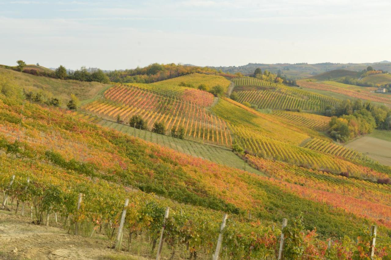 Bed & Tours Dimora Di Campagna Bed & Breakfast Castelnuovo Belbo Dış mekan fotoğraf