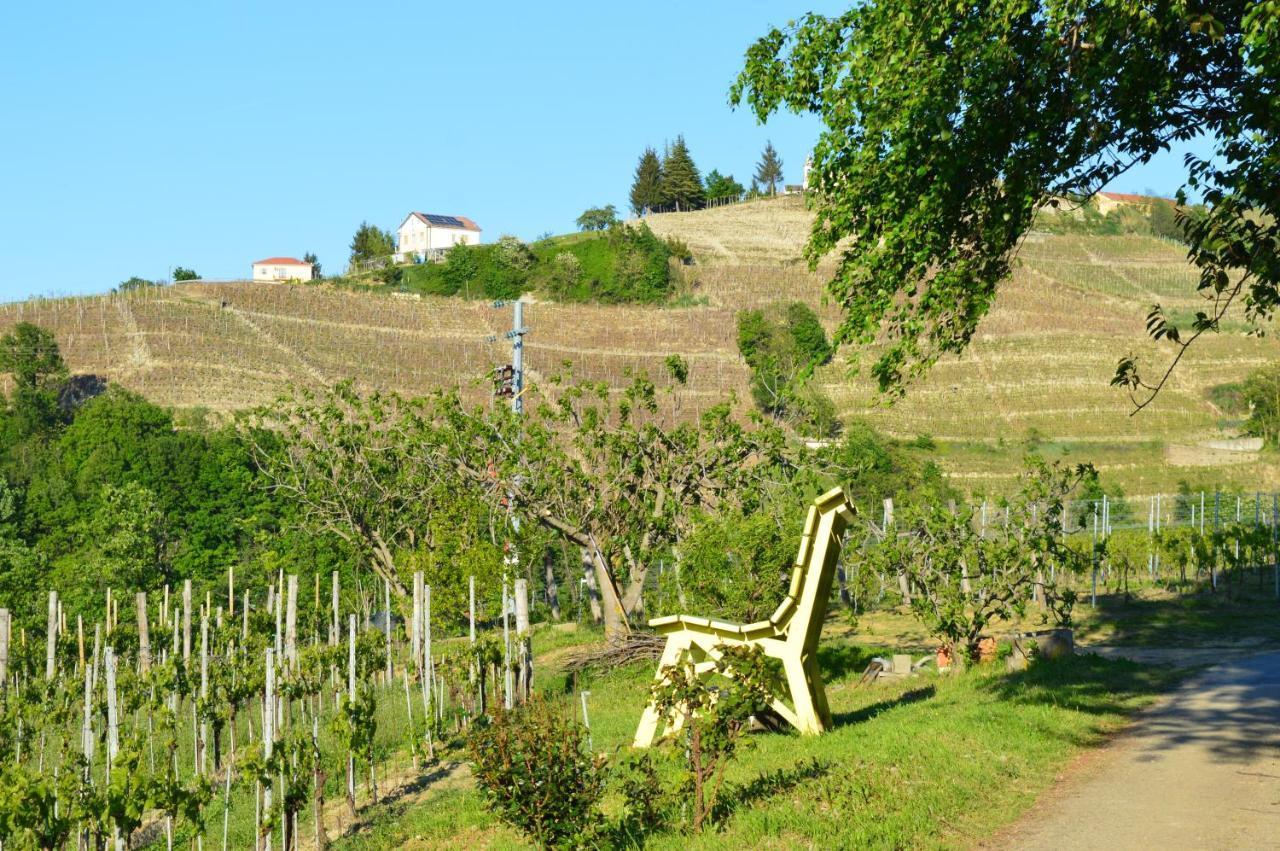 Bed & Tours Dimora Di Campagna Bed & Breakfast Castelnuovo Belbo Dış mekan fotoğraf