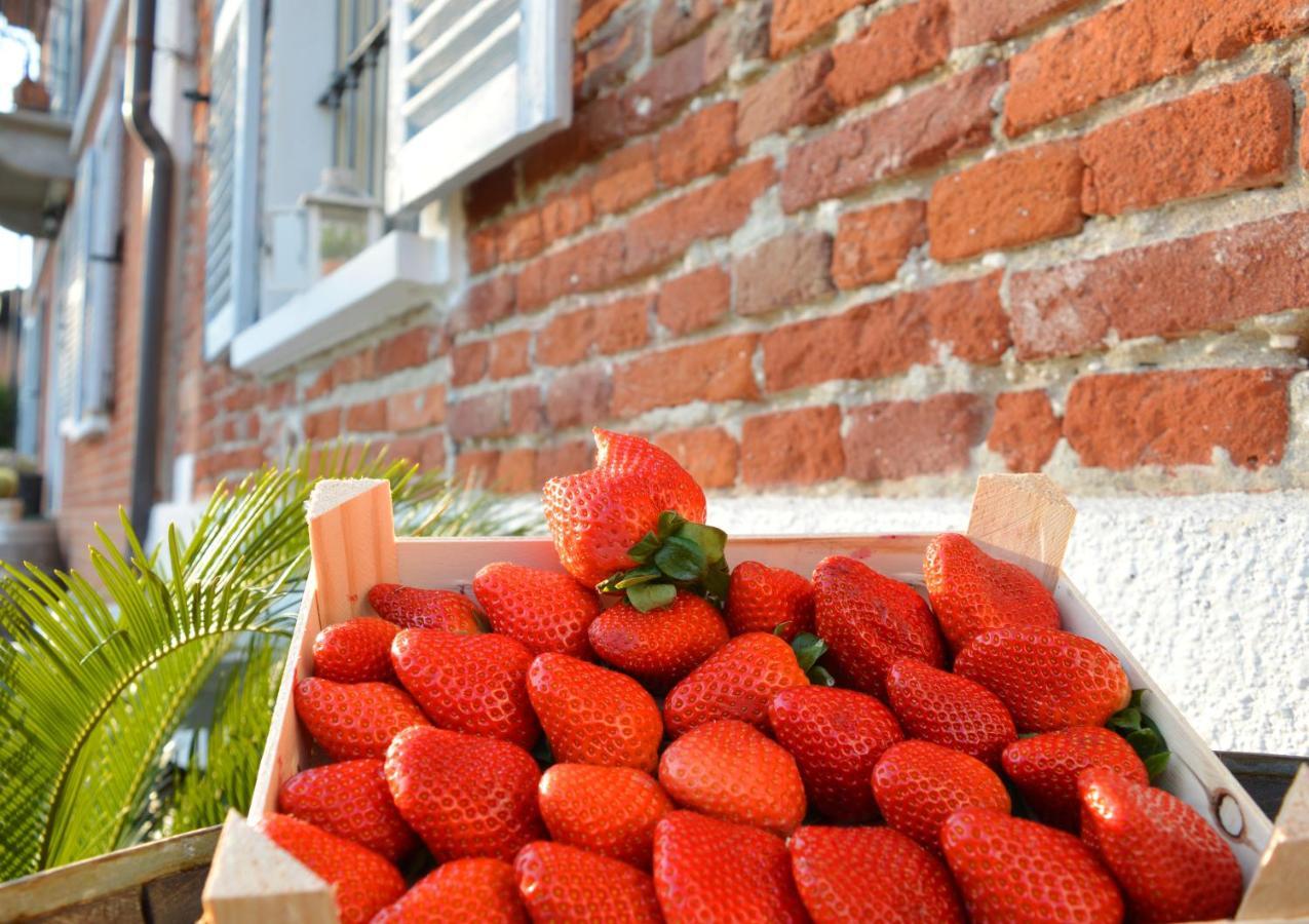 Bed & Tours Dimora Di Campagna Bed & Breakfast Castelnuovo Belbo Dış mekan fotoğraf
