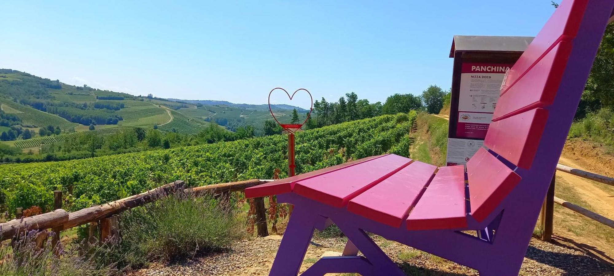 Bed & Tours Dimora Di Campagna Bed & Breakfast Castelnuovo Belbo Dış mekan fotoğraf