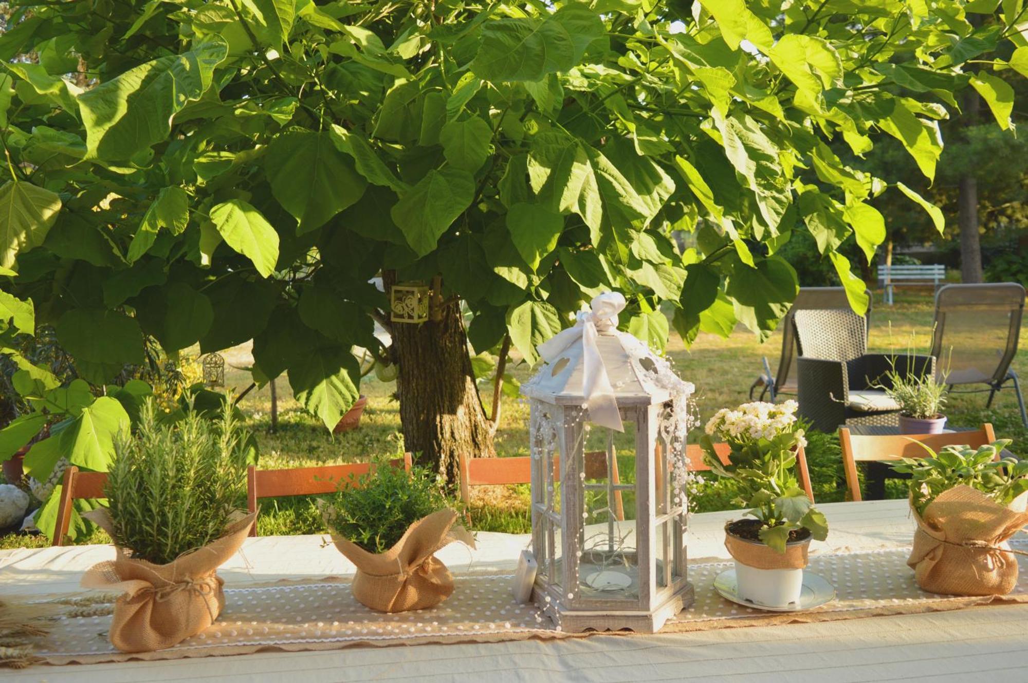 Bed & Tours Dimora Di Campagna Bed & Breakfast Castelnuovo Belbo Dış mekan fotoğraf